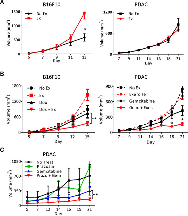 Exercise-induced shear stress increases chemotherapeutic efficacy.