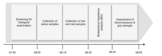 Timeline of the biological examination