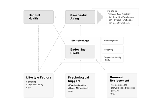 A model of successful aging: Biological aging as main contributor of successful aging.