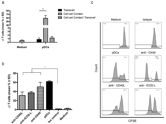 pDCs-induced V&#x3b3;9V&#x3b4;2 T cells proliferation requires cell to cell contact.