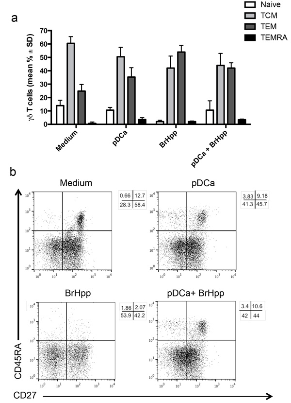 pDCs-expanded V&#x3b3;9V&#x3b4;2 T cells have memory phenotype.