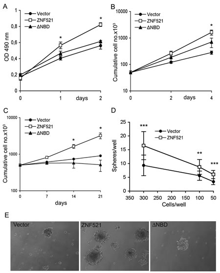 Enforced expression of ZNF521 confers growth advantage on DAOY cells.