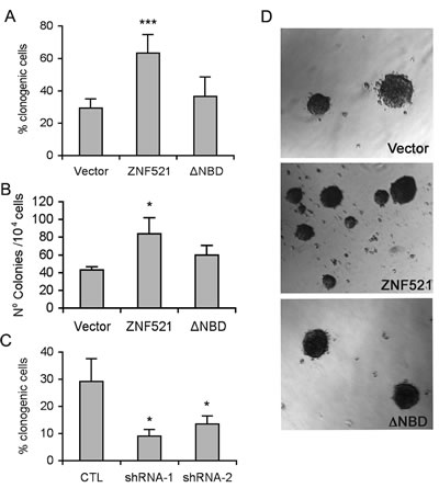 ZNF521 enhances clonogenicity of DAOY cells.