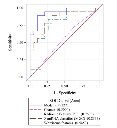 An integrative model combining radiomic features (PC1) with the 5-miRNA genomic classifier (MGC) is more accurate at predicting malignant IPMN pathology than either variable alone and is substantially more accurate for prediction than worrisome radiologic features.