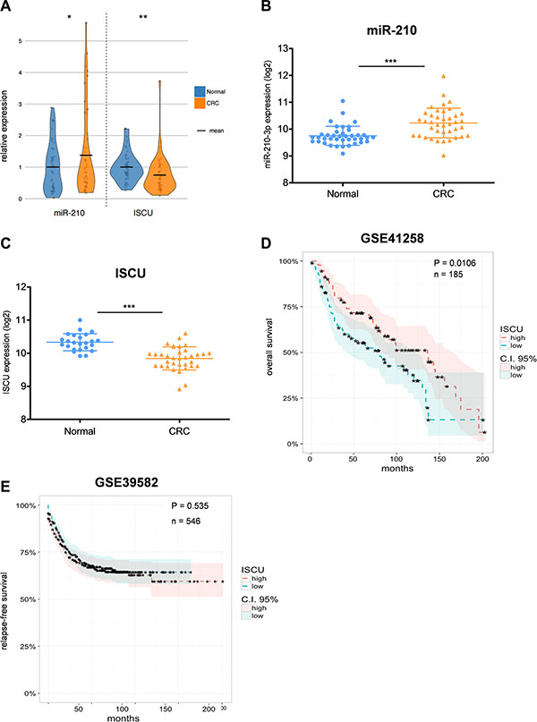 miR-210 and ISCU expression are clinically relevant for CRC patients.