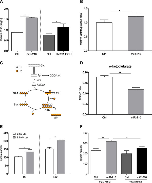 miR-210-induced lactate production enhances self-renewal capacity of colon TICs.