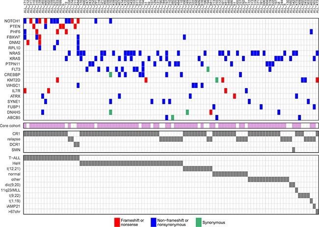 Driver genes in acute lymphoblastic leukemia (ALL).