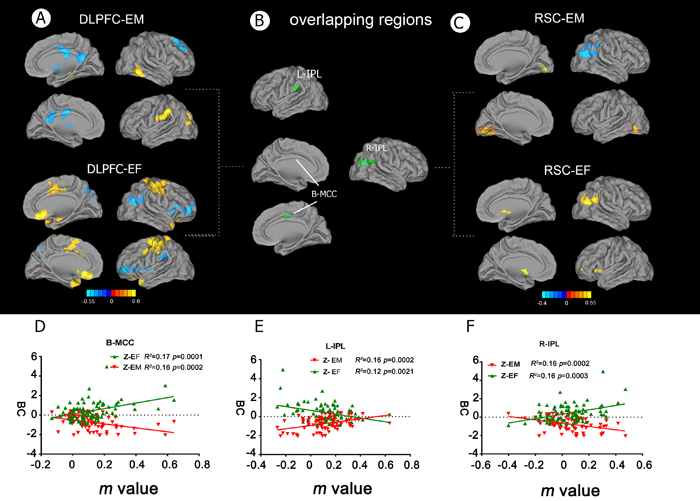 Behavioral significance of altered functional connectivity in the DLPFC and RSC networks in aMCI patients.