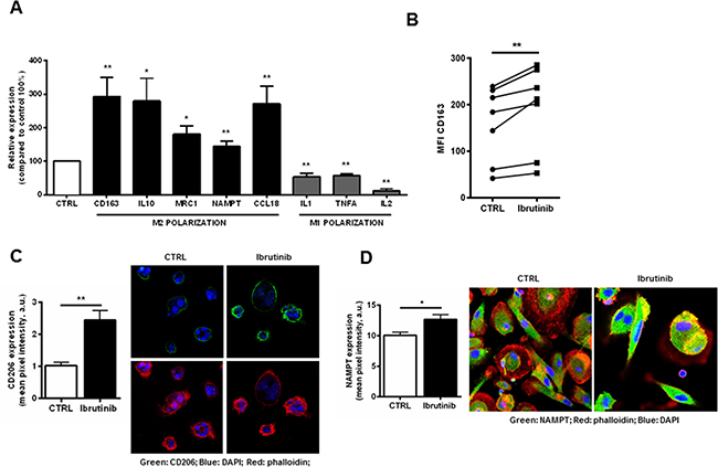 Exposure of NLCs to ibrutinib intensifies the expression of genes involved in M2 polarization.