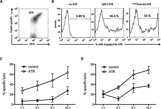 Human FluM1 specific CD8&#x002B; T cells can be redirected to kill CD19&#x002B; Raji tumor cells.