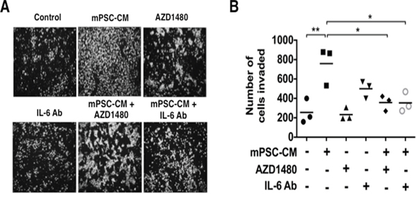 Mouse PSC-CM mediates activation of PanIN cell invasion through IL6-JAK-STAT3 signaling.