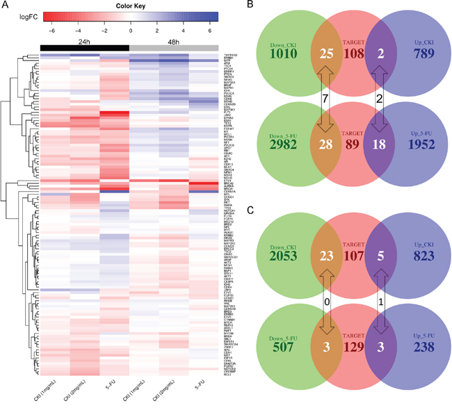 Expression change of clinically relevant cancer genes in cells treated with CKI or 5-FU.