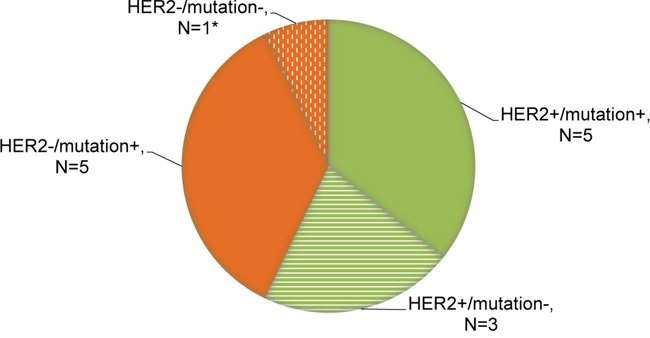 Distribution of genomic patterns of resistance to anti-HER2 therapy.