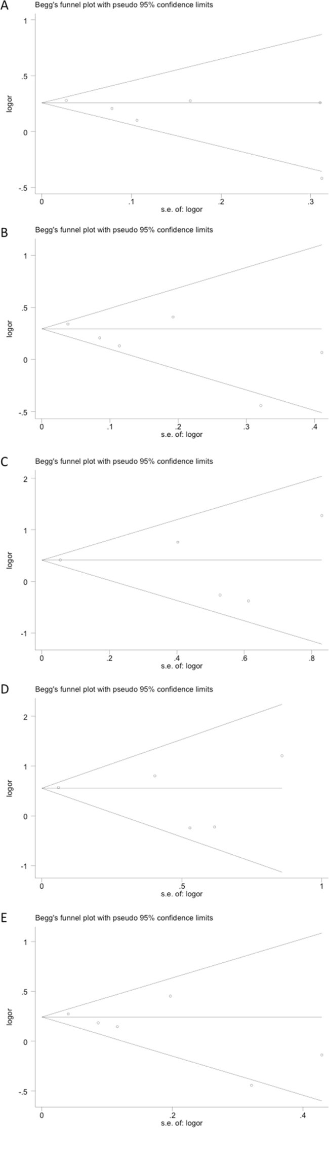 Publication bias tested by Begg&#x2019;s funnel plot.