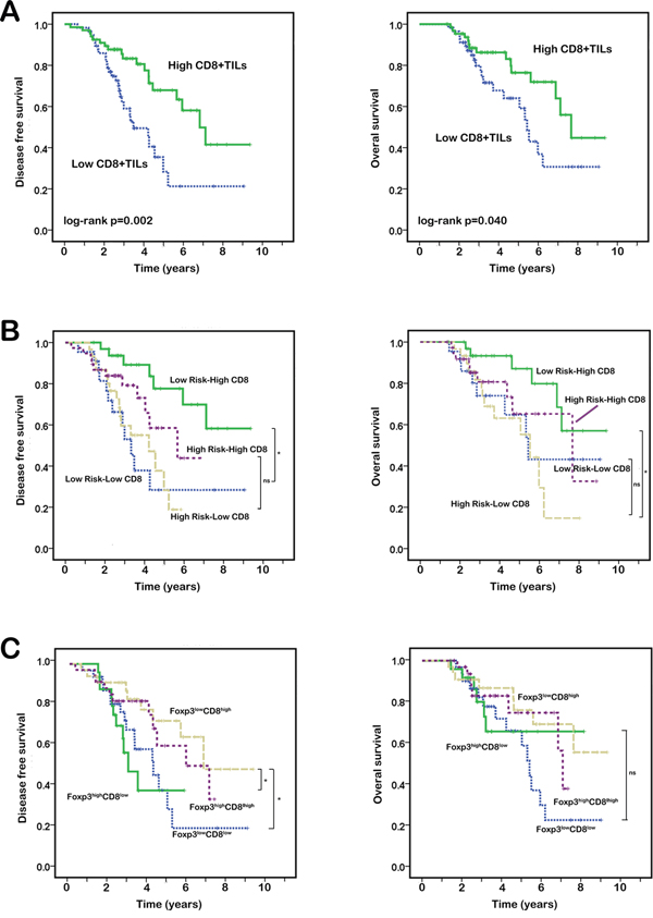 Kaplan&#x2013;Meier analysis of DFS and OS according to CD8+TILs, high risk features and Foxp3+TILs in NSCLC.