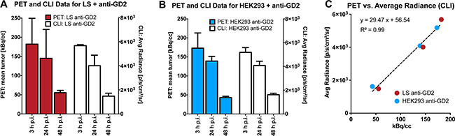 Quantification and correlation of PET- and CLI-assessed mAb-uptake in LS- and HEK293-tumors.