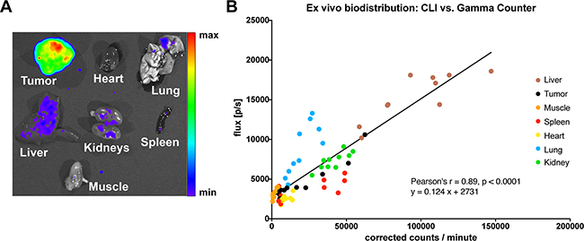 Ex vivo biodistribution.