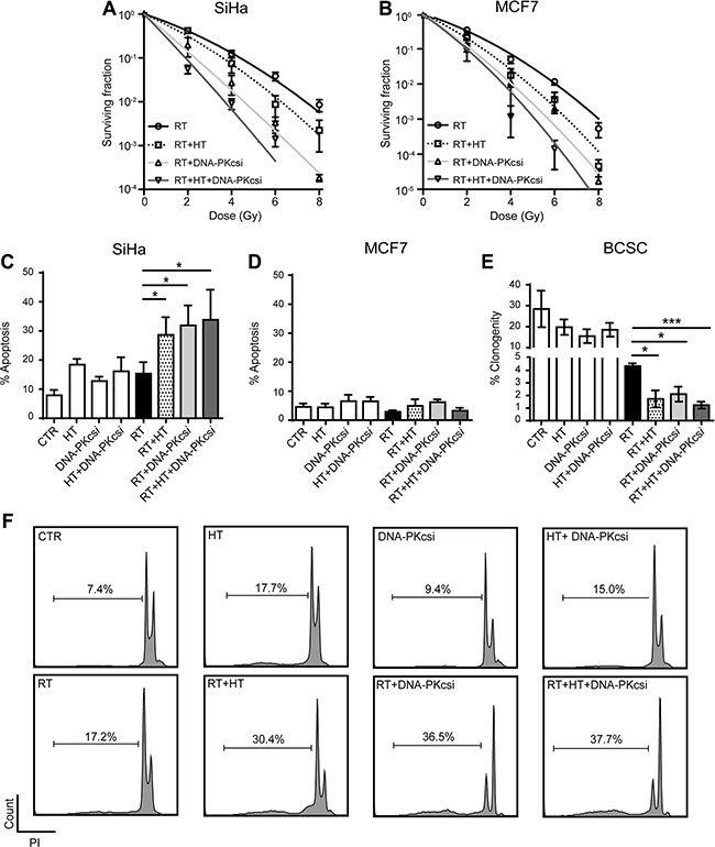 Cancer cells and BCSCs are clearly sensitized to ionizing radiation (RT) by DNA-PKcs inhibition and hyperthermia (HT).