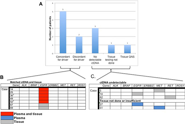 Plasma tissue concordance in cases with actionable NSCLC biomarkers.