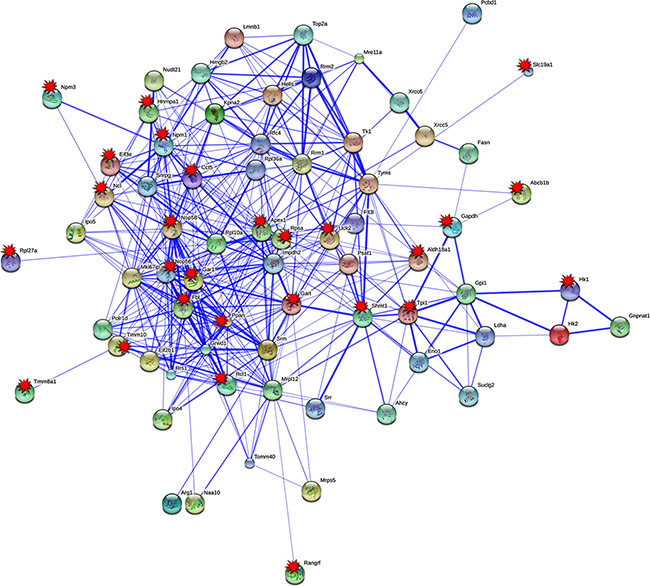 Protein interaction networks of in PLACs of c-Myc transgenic mice.