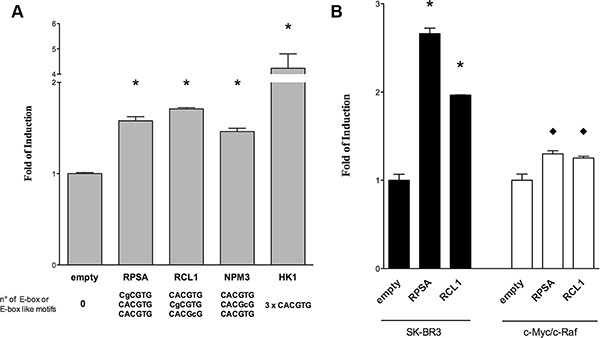 Gene reporter assays in HEK293T cells.