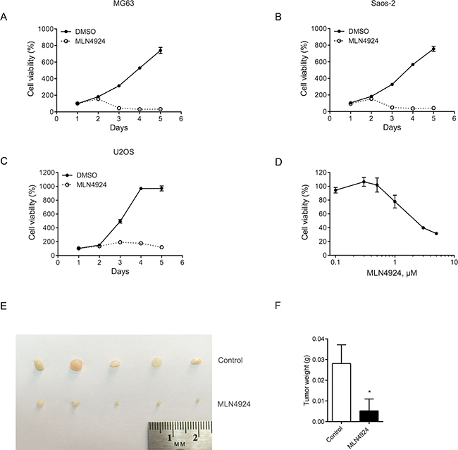 MLN4924 inhibits cell growth and tumorigenicity of osteosarcoma cells.