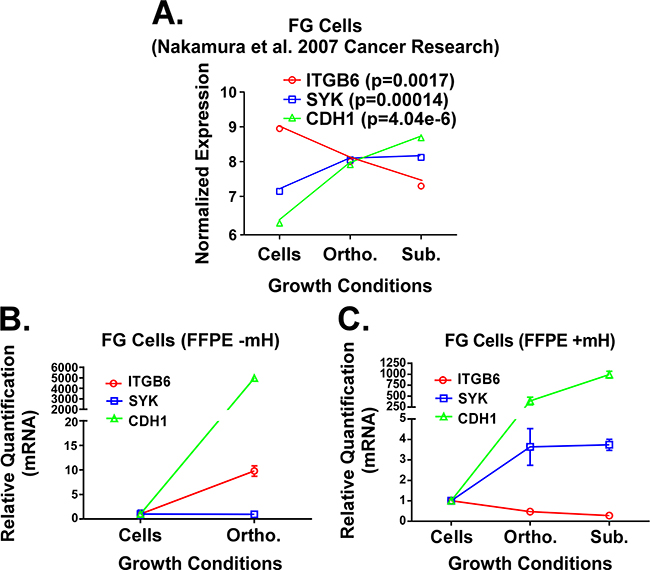 Figure 3: