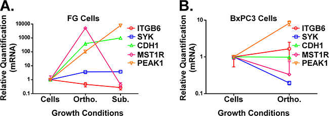 Figure 4: