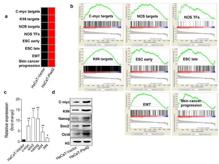 Piwil2 facilitates the establishment of a cancer stem-like cell gene-set enrichment pattern.