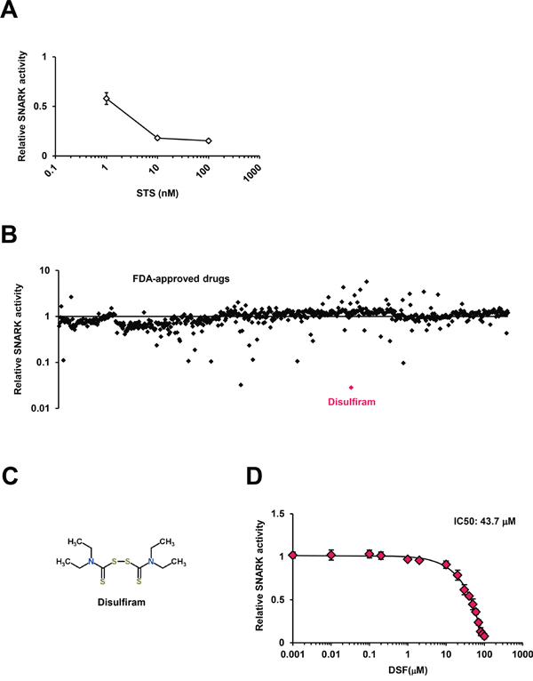 The SNARK kinase inhibitor screen in vitro.