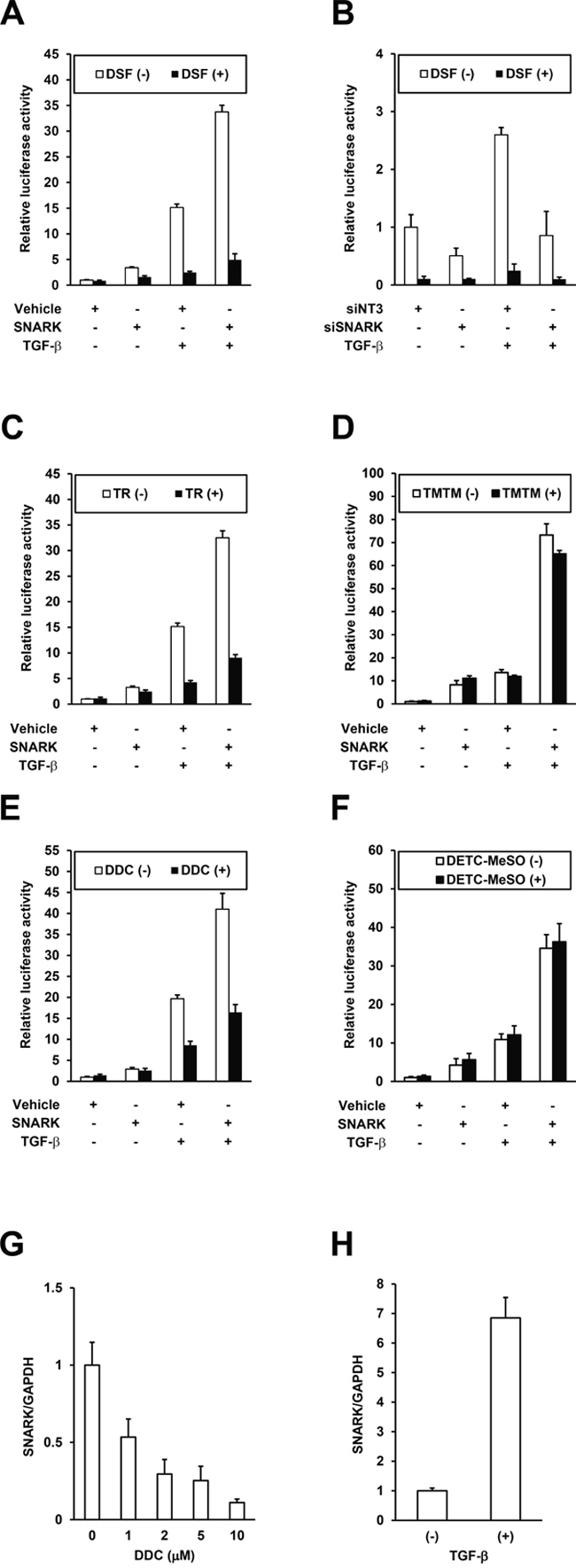 Inhibition of SNARK-promoted TGF-&#x03B2; signaling by DSF.