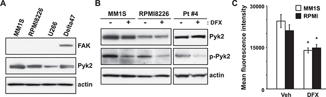 DFX exerts anti-myeloma activity by inhibition of Pyk2 phosphorylation accompanied by reduced production of ROS.