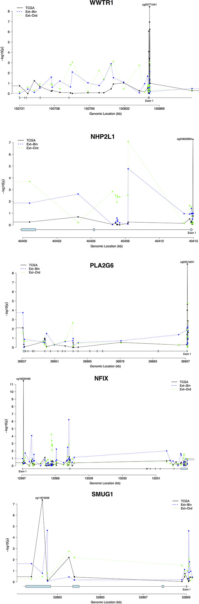 Methylation