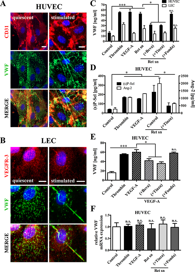 Tinzaparin, but not Fondaparinux, inhibits VEGF-A-mediated EC activation by Ret melanoma cells in vitro.