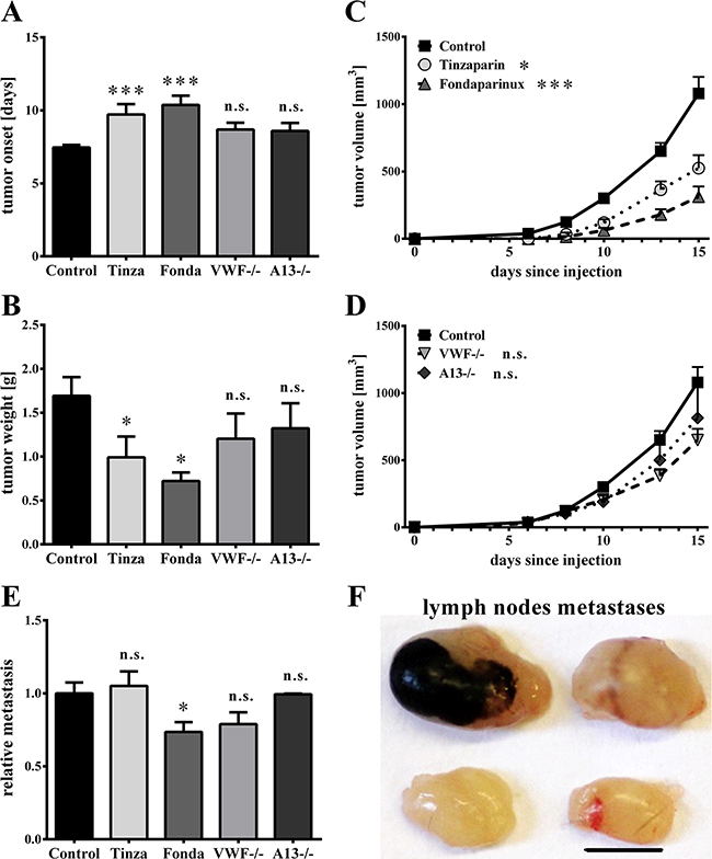 Luminal von Willebrand factor fibers have no effects on primary tumor growth or lymphatic metastasis.