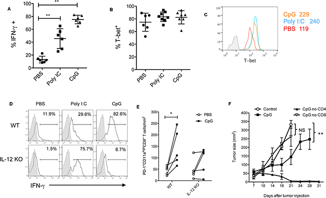 CpG-induced effector CD8+ T cell responses are dependent on IL-12.