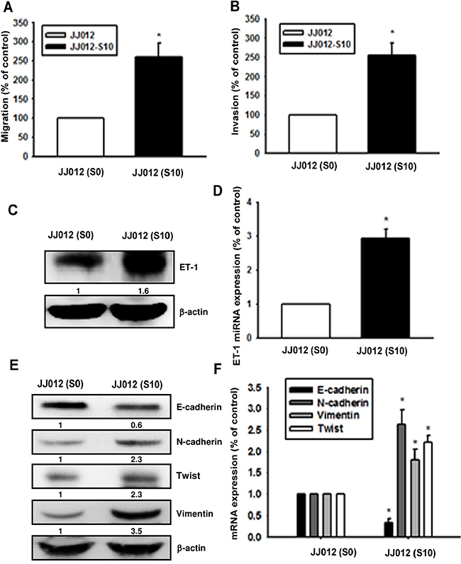 Upregulation of ET-1 and EMT in migration-prone chondrosarcoma cells.