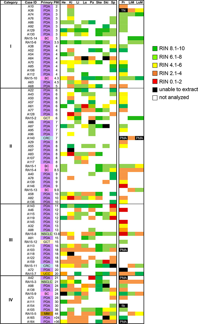 Heat map of RNA integrity numbers by tissue type.