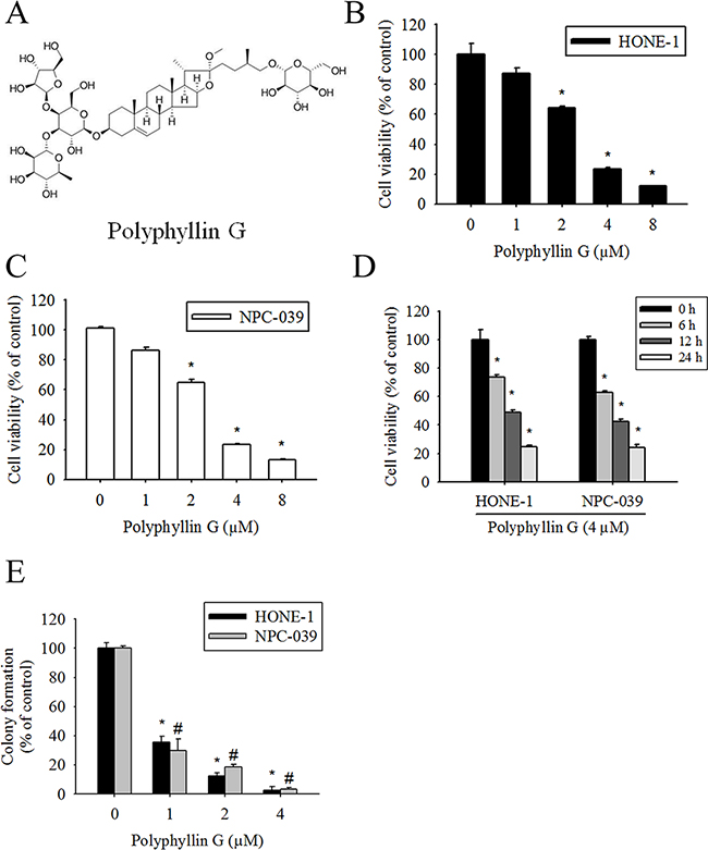 Polyphyllin G reduces cell viability in the dose- and time-dependent manners.