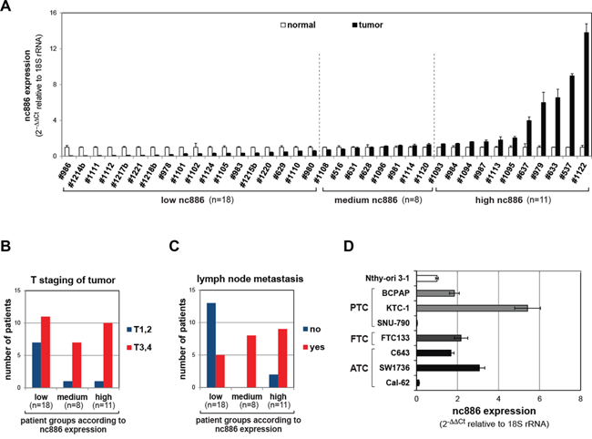 nc886 expression in tissue samples from thyroid cancer patients and cell lines.