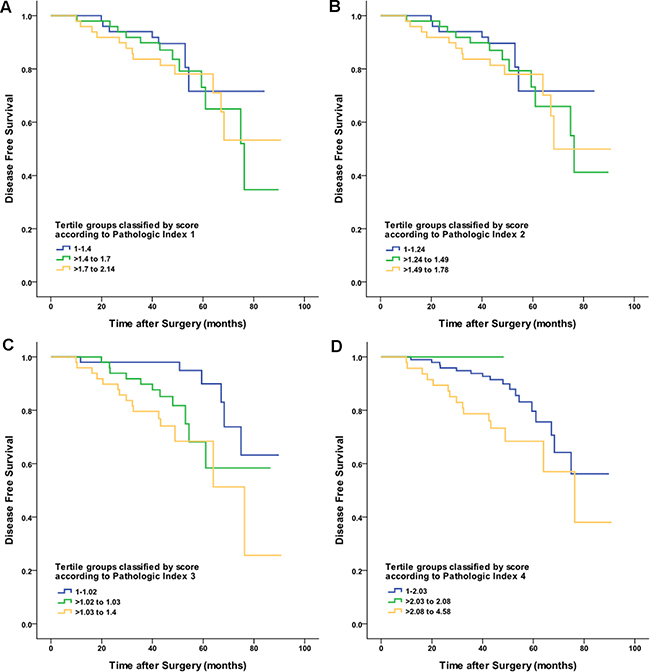 Disease-free survival curves for the validation cohort tertiles of the four proposed pathologic indices.