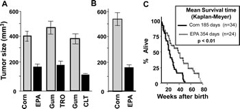 CLT, EPA, and TRO inhibit the growth of tumors and EPA extends the life expectancy of p53-/- mice.