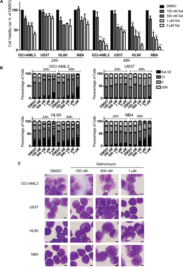 Differential sensitivity of human AML cell lines to salinomycin.