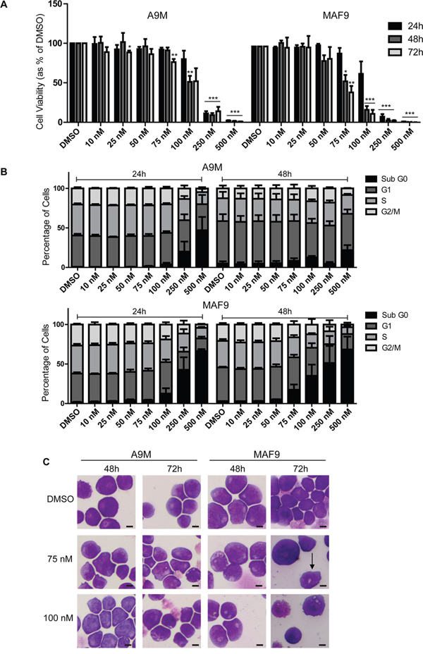 Salinomycin-sensitive primary murine AML and MLLr leukemia cell lines.