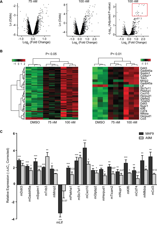 Differential gene expression in treated MAF9 cells.