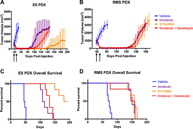 PDX tumor volumes and Kaplan-Meier curves for mice treated with vehicle, protracted-dose irinotecan, STA-8666, or ganetespib plus protracted-dose irinotecan.