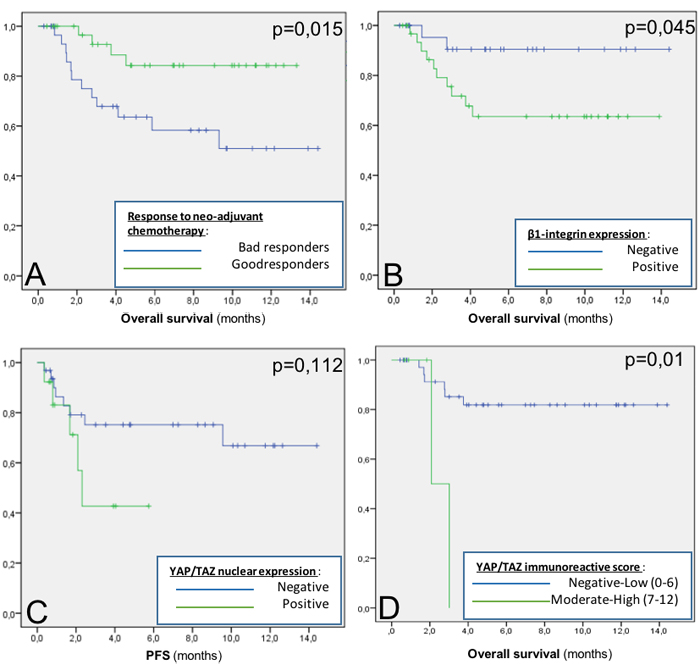 Overall Survival (OS) and Progression Free Survival (PFS).