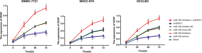 The VEGF expression of SMMC-7721, MHCC-97H and HCCLM3 cells after transfection among different groups detected by Western blotting.