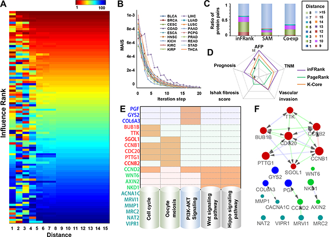 Identification of influential genes in HCC by inFRank.