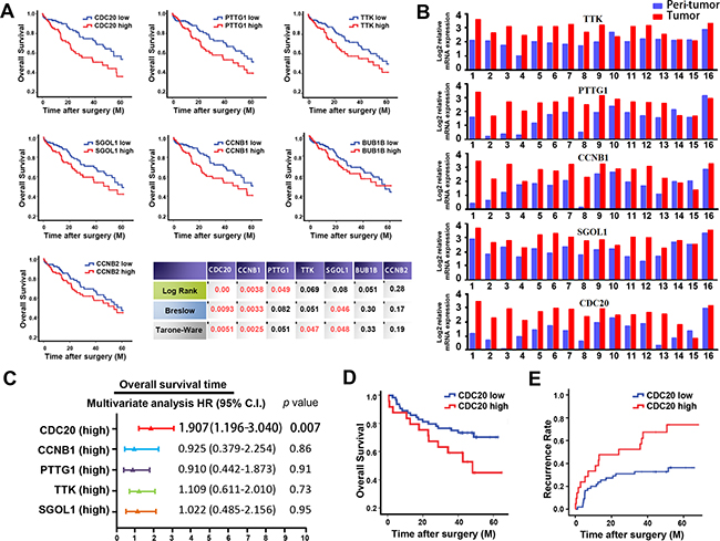 inFRank-identified genes exhibit superior clinical significance in HCC patients.